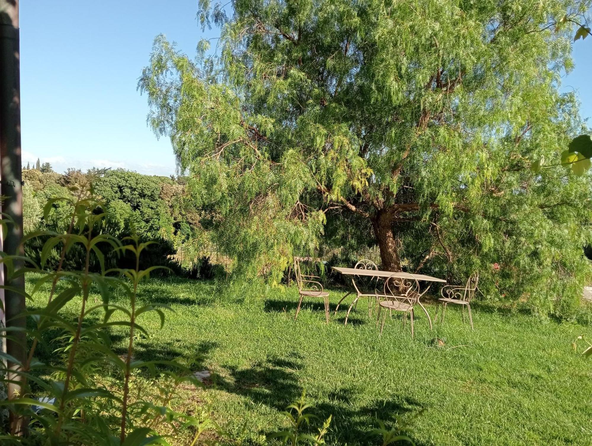 Agriturismo Podere Gianmaria Кастильончелло Экстерьер фото